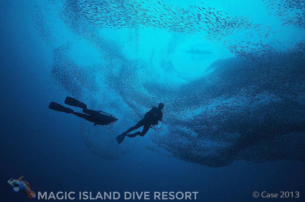 Magic Island Dive Resort Moalboal Dış mekan fotoğraf