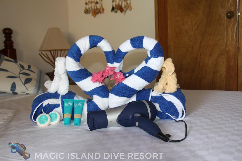Magic Island Dive Resort Moalboal Oda fotoğraf